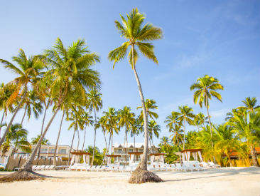 All Inclusive, Wedding ResortBe Live Collection Punta Cana