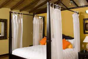 Arenal Nayara Hotel, Spa & Gardens