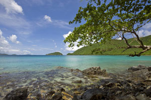 Westin St John Resort & Villas