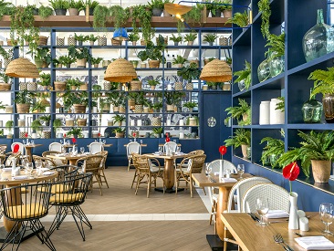 Ocean Riviera Paradise